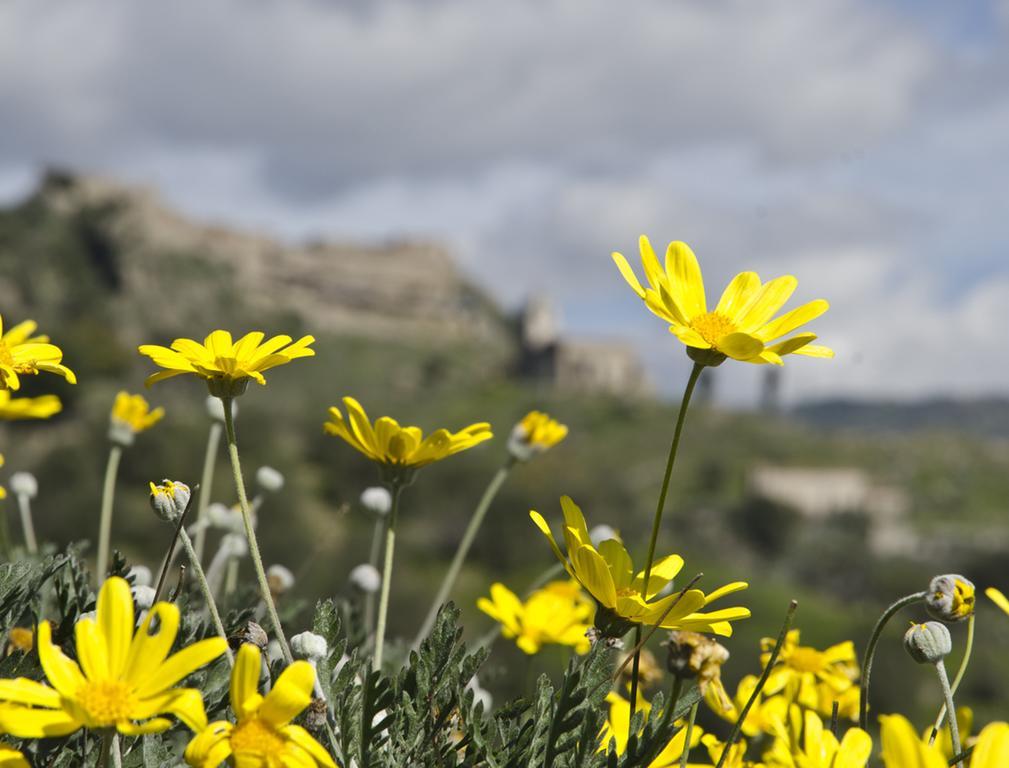Casa Vacanza Cicirello Giardini Naxos Phòng bức ảnh
